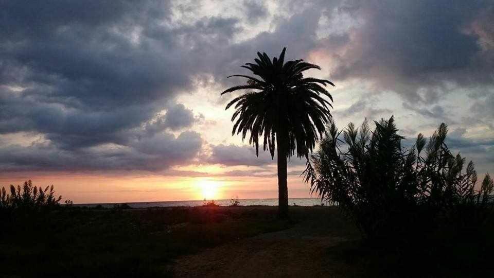 Mediterrania Marina Puerto de Sagunto Room photo